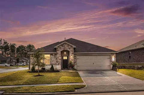16016 Birch Bay Ln, Conroe, TX 77384