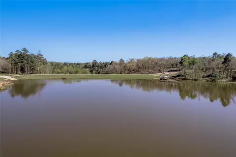128 Three Lakes Rnch, Centerville, TX 75833 photo 7