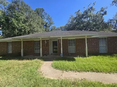 509 Bobcat Ln, Daisetta, TX 77533