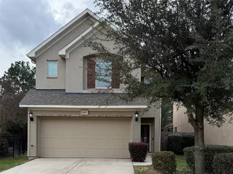 20607 Alfonso Ct, Spring, TX 77388