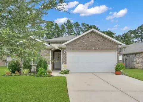 13966 Nicolet Arbor Ln, Conroe, TX 77384
