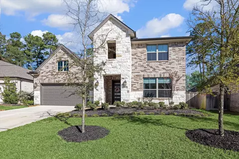 164 Gray Pine Grove Way, Willis, TX 77318