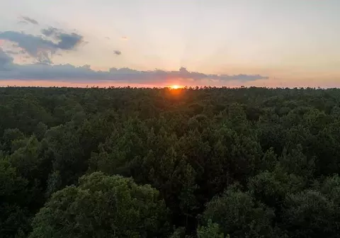 30 Coyote Run, Willis, TX 77378 photo 13