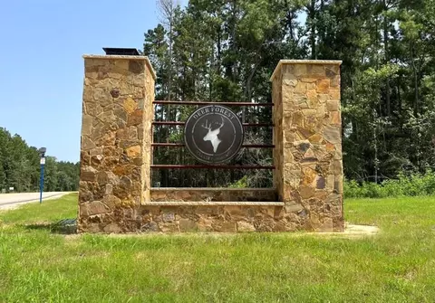 30 Coyote Run, Willis, TX 77378 photo 6