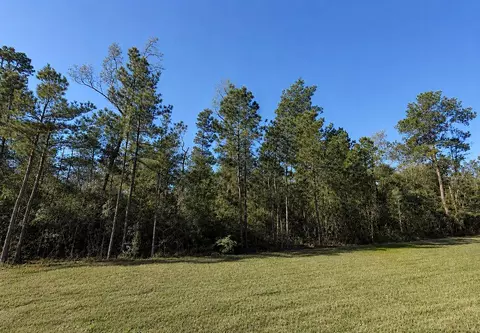 30 Coyote Run, Willis, TX 77378 photo 4
