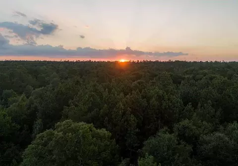 30 Coyote Run, Willis, TX 77378 photo 14
