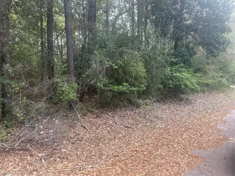 lot8 Chestnut Cir, Village Mills, TX 77663