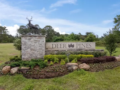 View/Area - 13664 Armstrong St, Conroe, TX 77303 photo 1 of 4