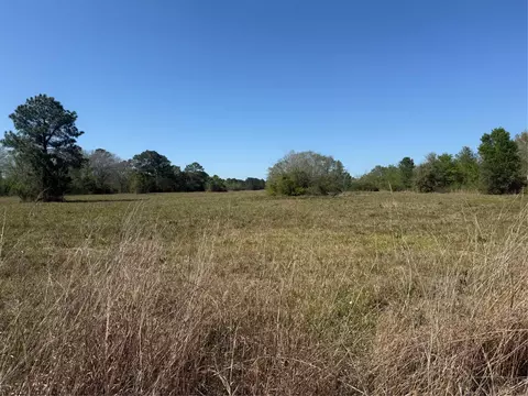 12217 Fm 1462, Alvin, TX 77511