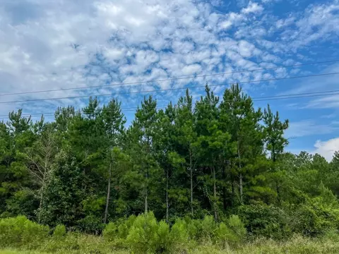 30 Meshell Rd, Groveton, TX 75845 photo 4