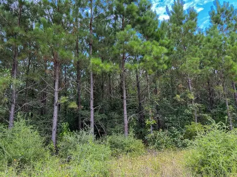 30 Meshell Rd, Groveton, TX 75845 photo 5