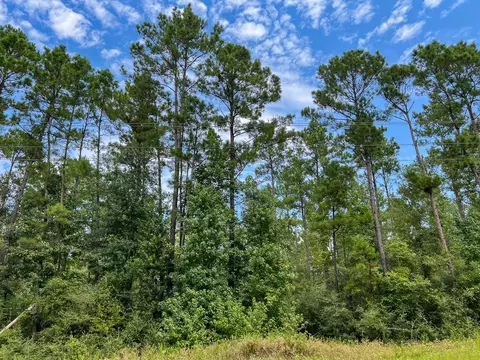 30 Meshell Rd, Groveton, TX 75845 photo 8