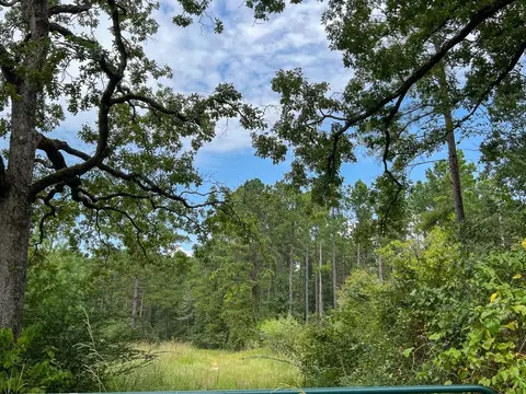 30 Meshell Rd, Groveton, TX 75845 photo 3