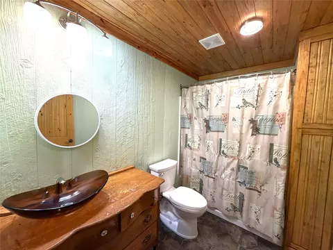 Bath - 294 Canadian Dr, Trinity, TX 75862 photo 3 of 5
