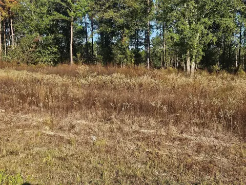 8030 Road 5891, Cleveland, TX 77327