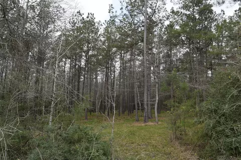 309 Exploration Rd, Willis, TX 77378 photo 5