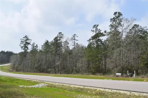 309 Exploration Rd, Willis, TX 77378 photo 9