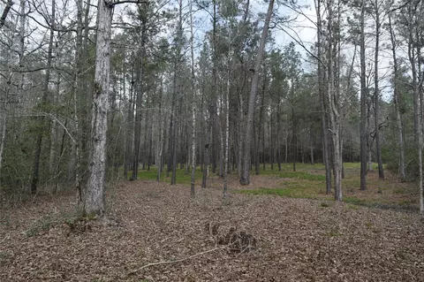 309 Exploration Rd, Willis, TX 77378 photo 12