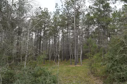 309 Exploration Rd, Willis, TX 77378 photo 17