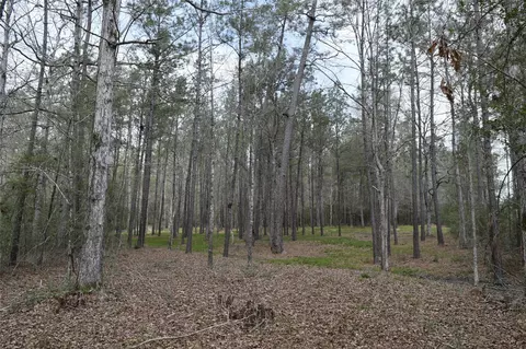 309 Exploration Rd, Willis, TX 77378 photo 16