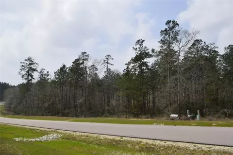 309 Exploration Rd, Willis, TX 77378 photo 7