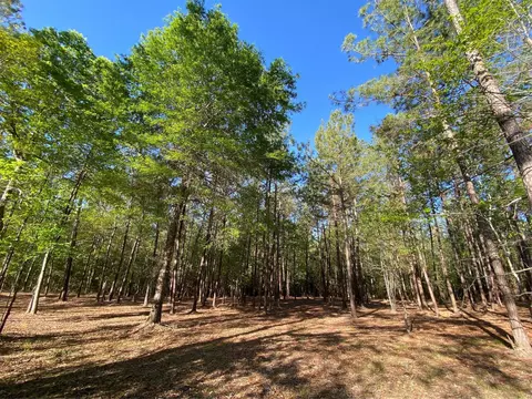 309 Exploration Rd, Willis, TX 77378