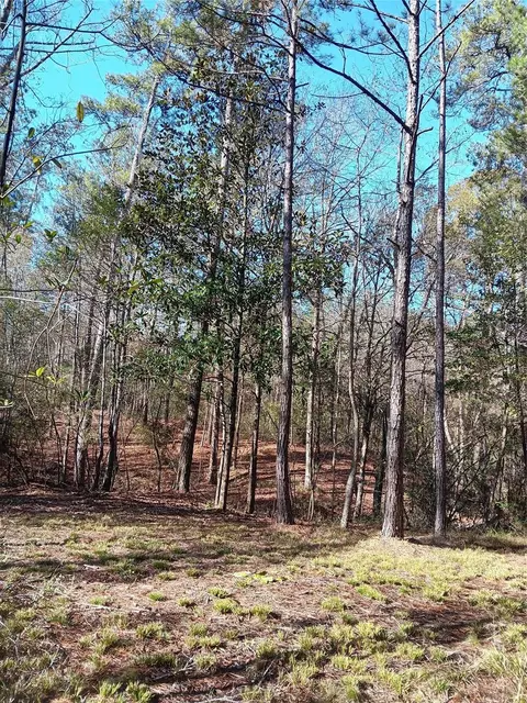 309 Exploration Rd, Willis, TX 77378 photo 28