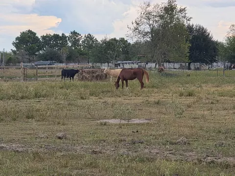 36847 Richard Frey 1-5 Rd, Hempstead, TX 77445