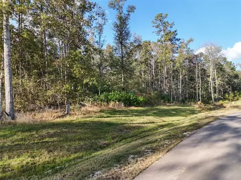 11615 Dawn Tree Ln, Willis, TX 77378 photo 5