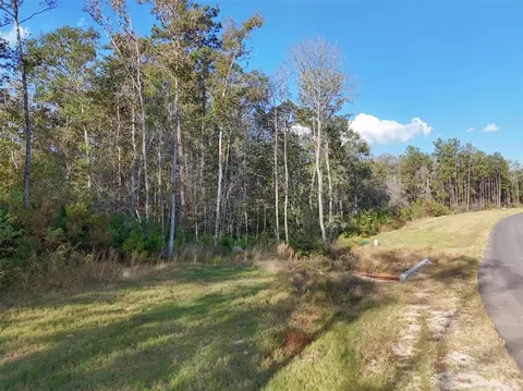 11615 Dawn Tree Ln, Willis, TX 77378 photo 6