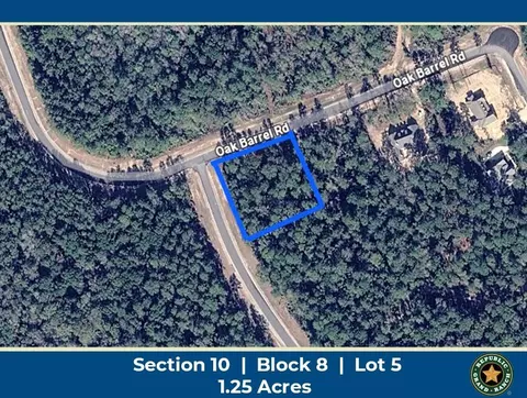 16062 Four Hills Rd, Willis, TX 77378