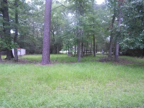 167 Nueces Dr, Trinity, TX 75862 photo 1