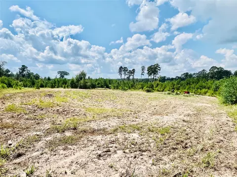 0 Nine Bridge Rd, Corrigan, TX 75939