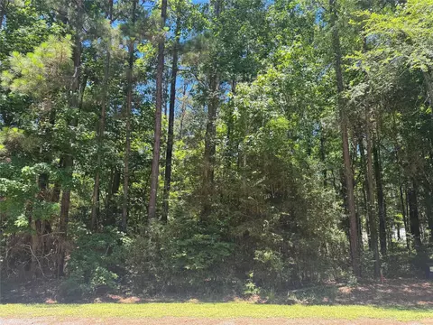 69 Sunny Hill Dr, Coldspring, TX 77331