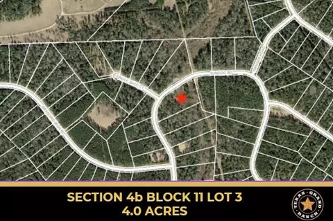 4 11-3 Sundog Rd # B, Huntsville, TX 77340