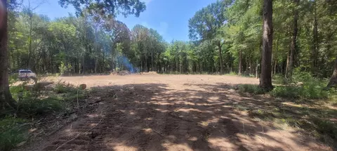 tbd Buck Creek Rd, Shepherd, TX 77371