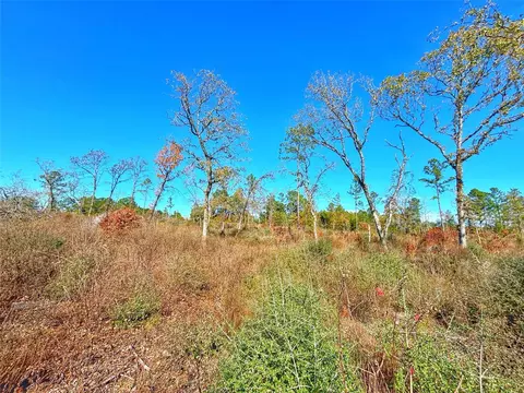 Tract 1 N Farm To Market 2022, Grapeland, TX 75844