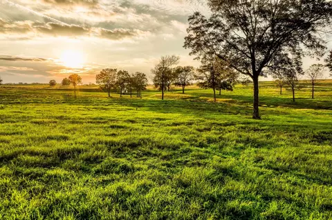 tbd Sunny Hills Lot 1 Dr, Chappell Hill, TX 77426