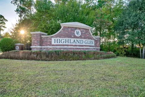 Other - 22739 Highland Maple Ct, Spring, TX 77373 photo 1 of 9