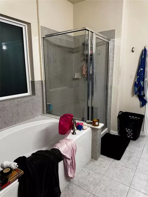 Bath - 22739 Highland Maple Ct, Spring, TX 77373 photo 5 of 10