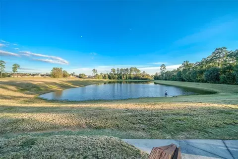 View/Area - 22739 Highland Maple Ct, Spring, TX 77373 photo 2 of 2