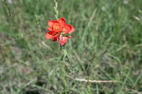22165 County Road 1199, Bullard, TX 75757