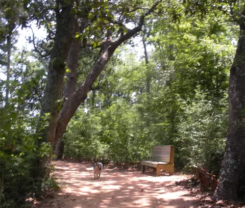 10039 Fm 787 Rd W, Cleveland, TX 77327