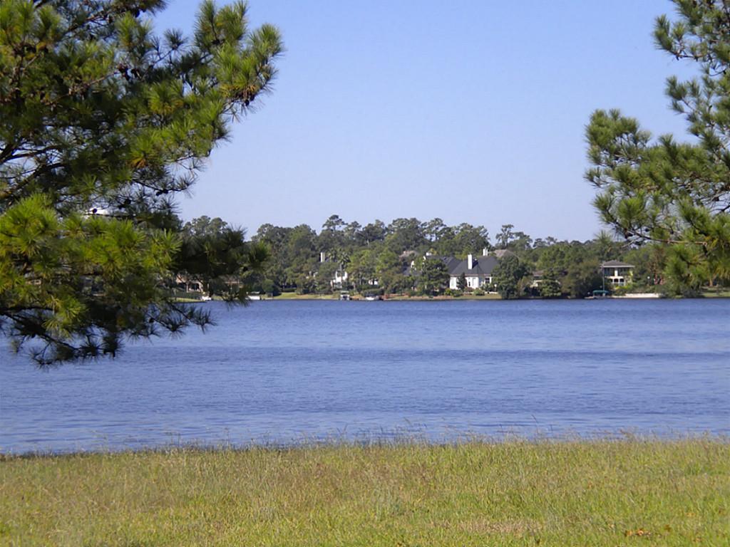 23 East Shr, Spring, TX 77380 photo 1