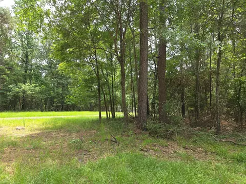 tbd Loper Lake Dr, Livingston, TX 77351
