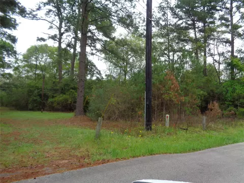 1223 Virgie Community Rd, Magnolia, TX 77354