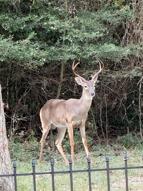 tbd Golfview N Dr, Normangee, TX 77871 photo 18