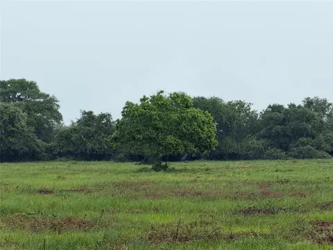 0 Fm 616, Blessing, TX 77419