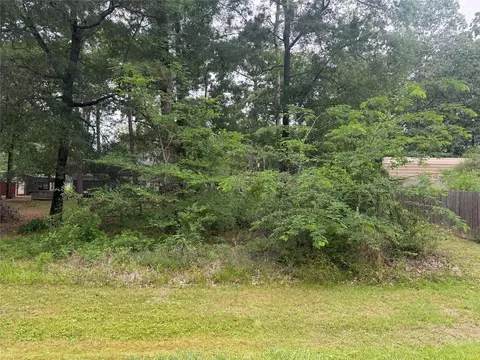 125 Trinidad Ln, Point Blank, TX 77364