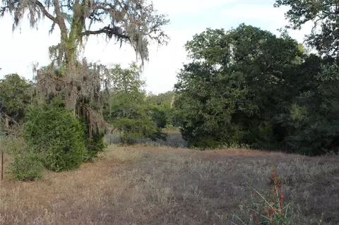 Parcel 4 Lobo Lane, Columbus, TX 78934
